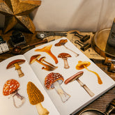 Large Toadstools Transparent Stickers