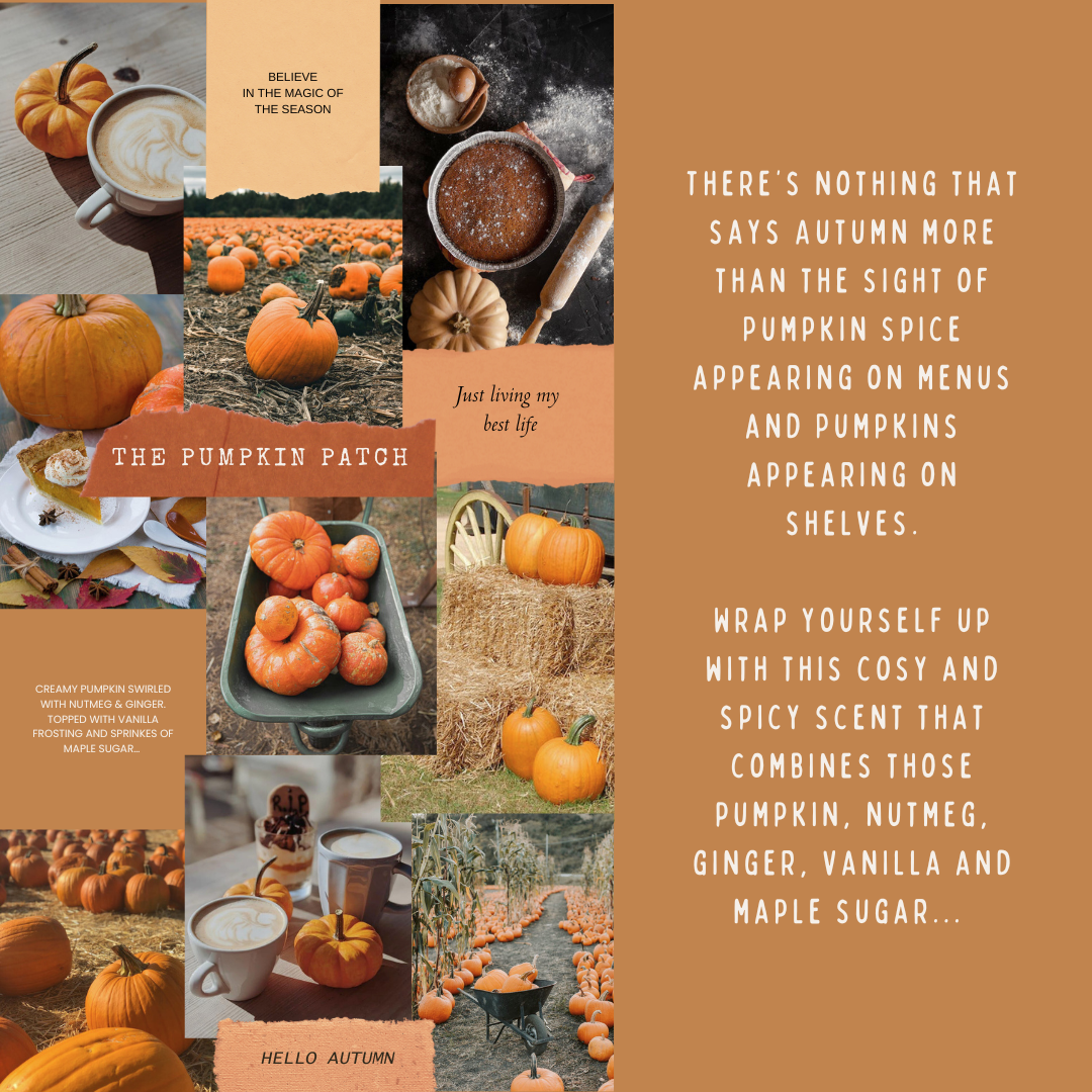 The Pumpkin Patch Wax Melts - Pumpkin, Nutmeg & Maple Sugar