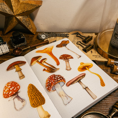 Large Toadstools Transparent Stickers