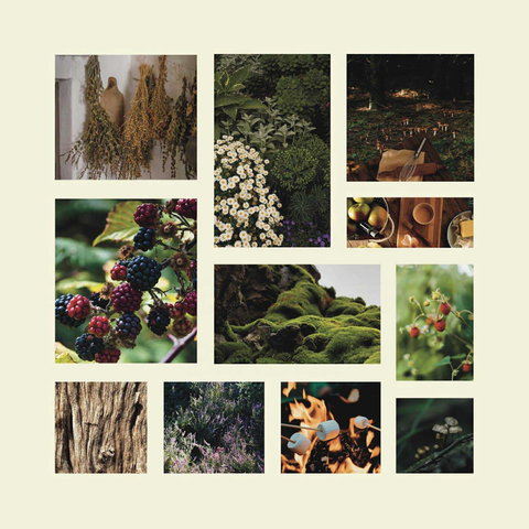 The Wax Melt Advent Calendar (12 days)