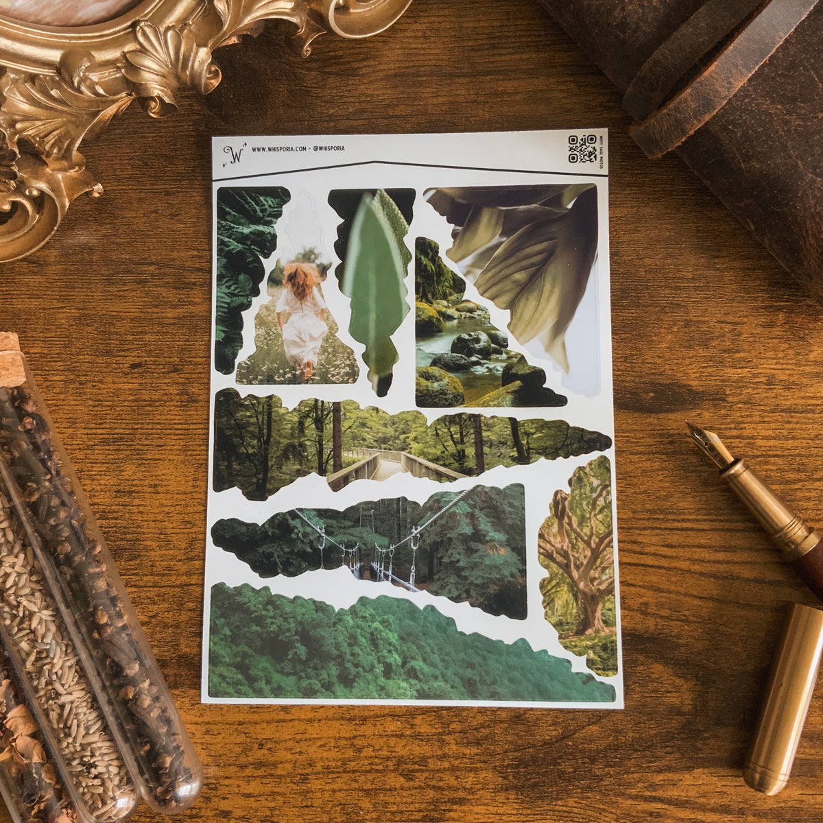 Misty Sage Ripped Photos Large Vinyl Sticker Sheet