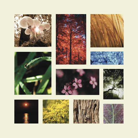 The Watercolour Advent Calendar (24 days)