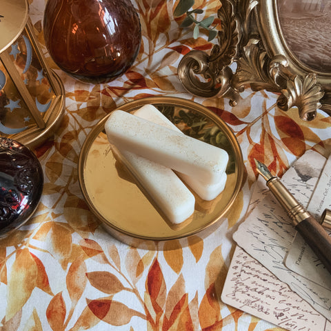 Steeped in Stories – Ginger & White Tea Soy Wax Melts