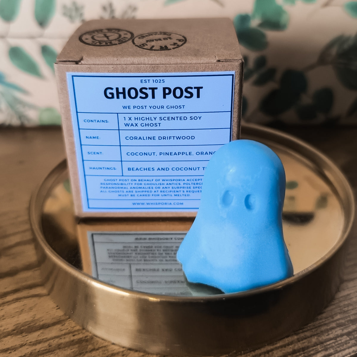 Coraline Driftwood - Pineapple, Coconut & Orange Ghost Wax Melt