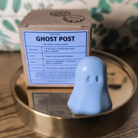 Ignatius Blackthorn - Smoky Embers, Citrus & Spicy Pepper Ghost Wax Melt