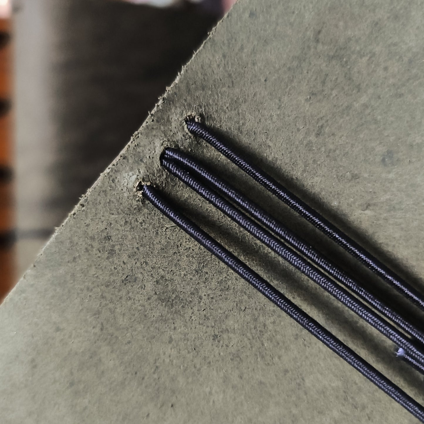 Forest Passport Leather Journal Cover